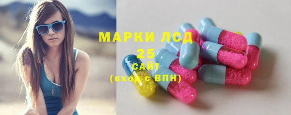 стаф Козельск