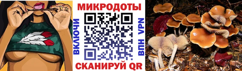 Псилоцибиновые грибы Cubensis Теберда